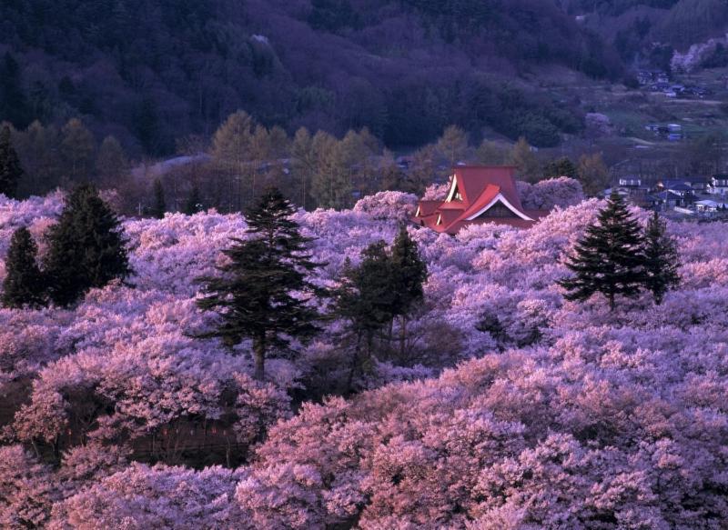 Guesthouse Yadoyadoya Miyada Eksteriør bilde